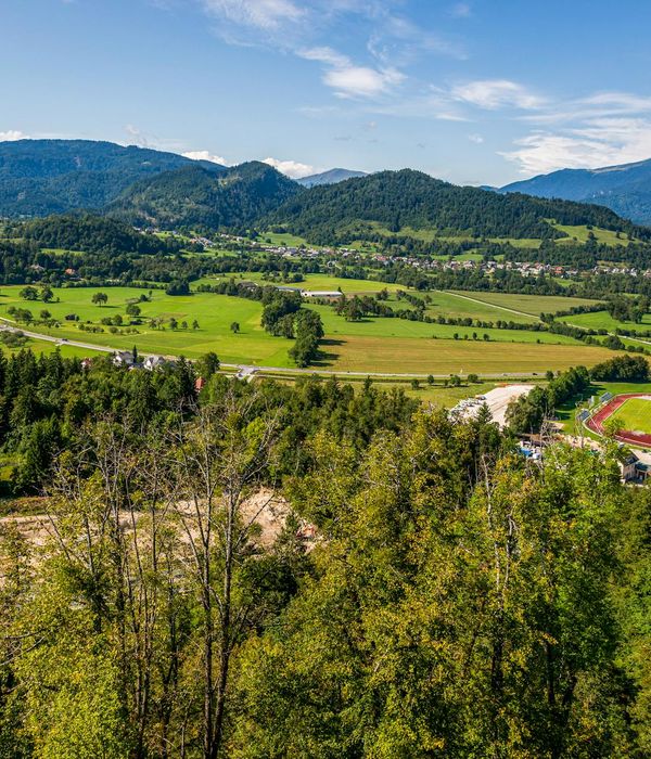 A panoramic view of a high-altitude vineyard with steep slopes