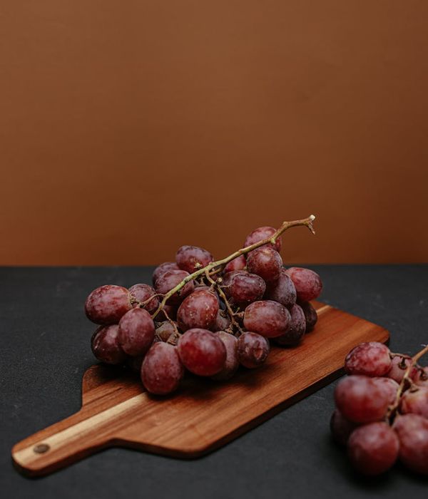 Close-up of ripe, dark Malbec grapes hanging from a vine